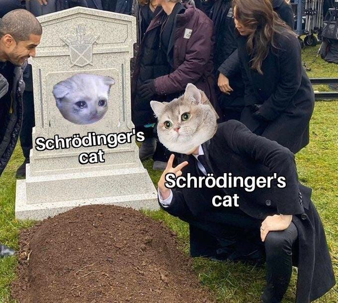 Schrodinger's Cat Meme
